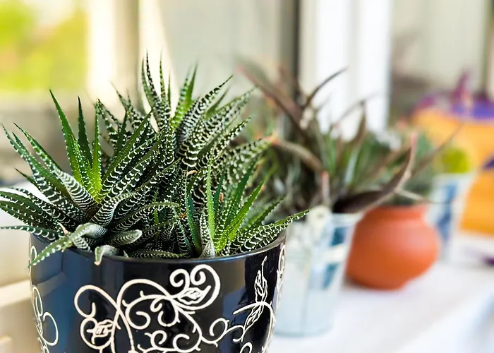 Prime Spot - 2br -15bth - Next To Nevsky Church