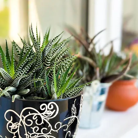 Prime Spot - 2br -15bth - Next To Nevsky Church